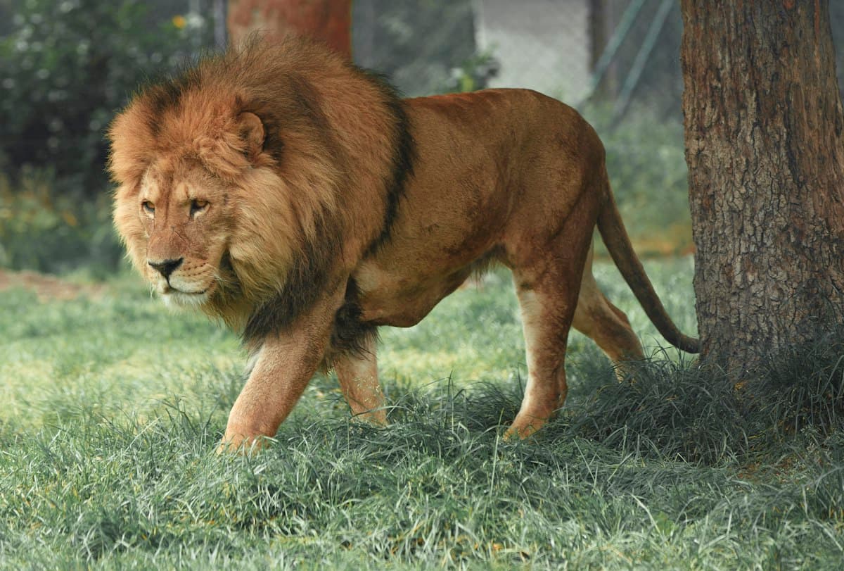 What a private safari actually costs